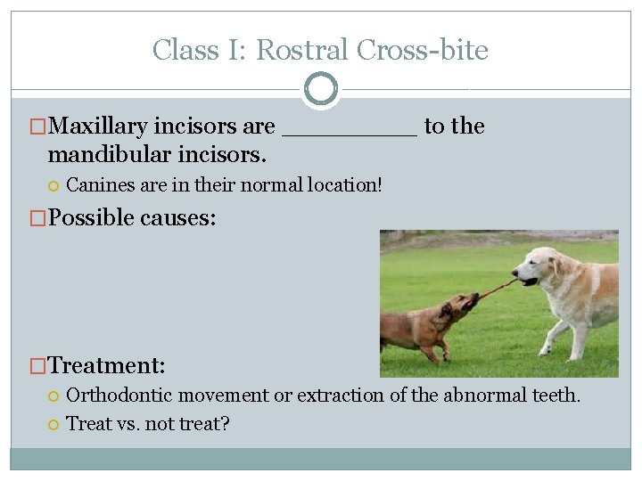 Class I: Rostral Cross-bite �Maxillary incisors are ____ to the mandibular incisors. Canines are