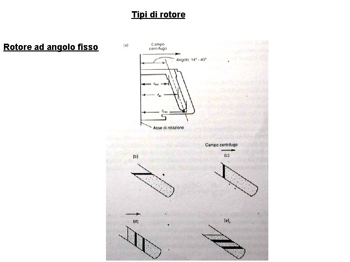 Tipi di rotore Rotore ad angolo fisso 