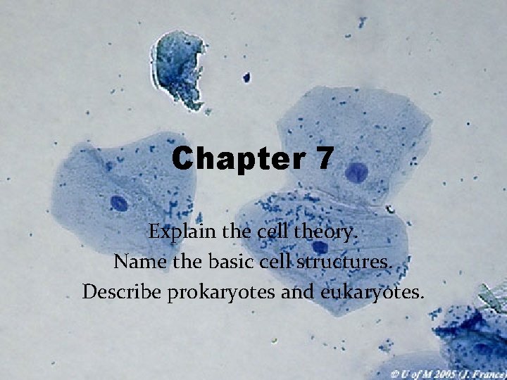 Chapter 7 Explain the cell theory. Name the basic cell structures. Describe prokaryotes and