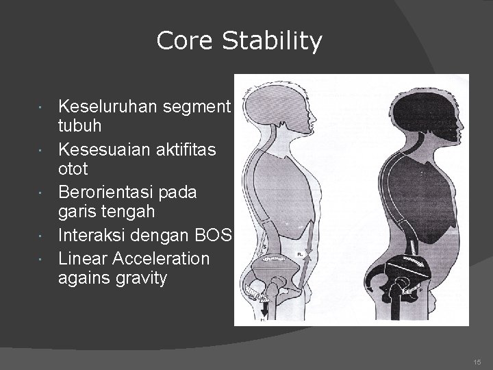 Core Stability Keseluruhan segment tubuh Kesesuaian aktifitas otot Berorientasi pada garis tengah Interaksi dengan