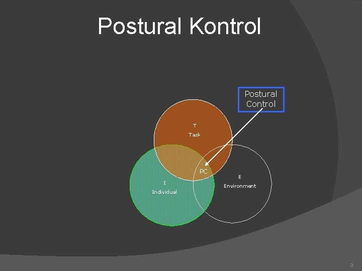 Postural Kontrol Postural Control T Task PC I Individual E Environment 3 