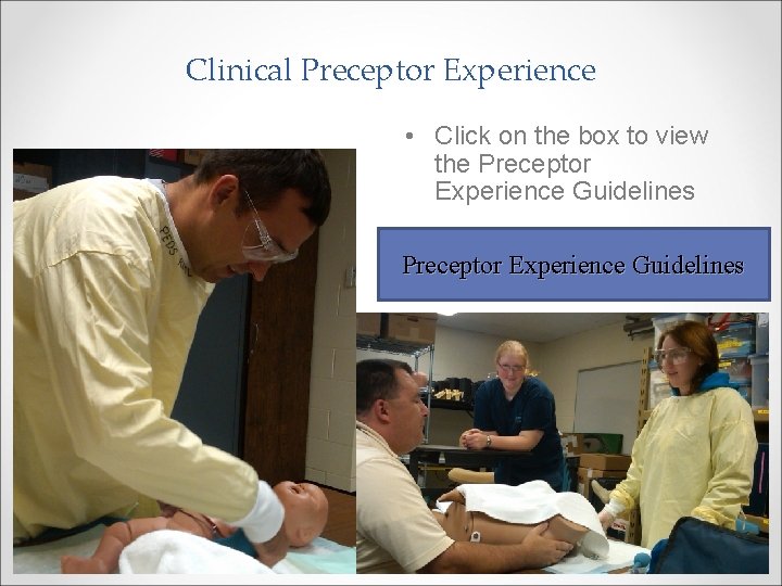 Clinical Preceptor Experience • Click on the box to view the Preceptor Experience Guidelines