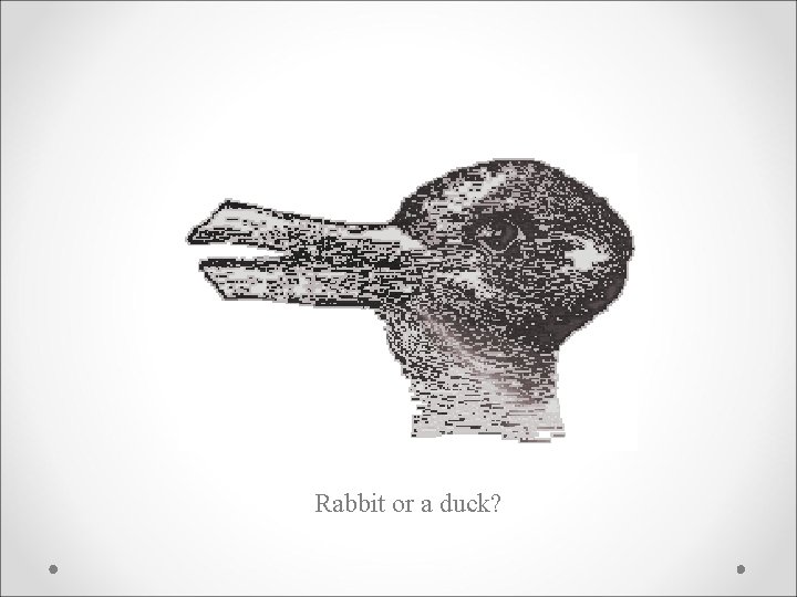 Rabbit or a duck? 