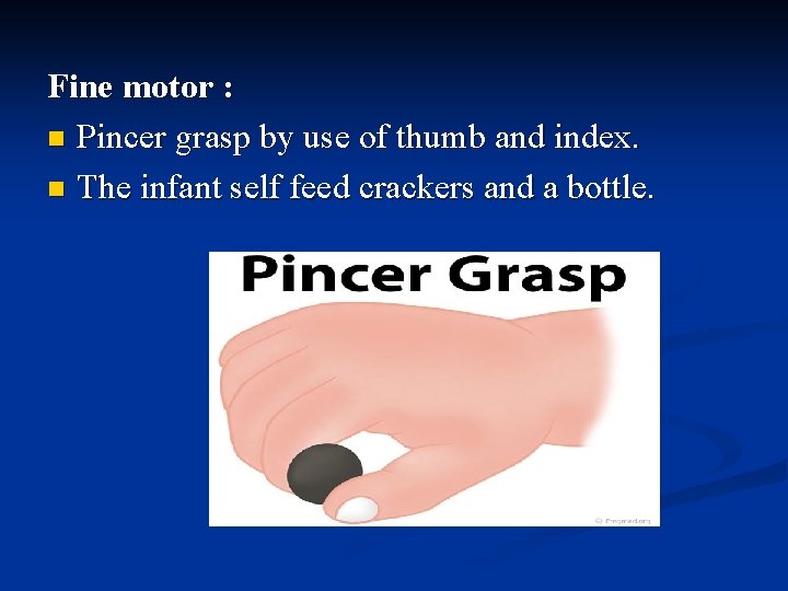 Fine motor : n Pincer grasp by use of thumb and index. n The