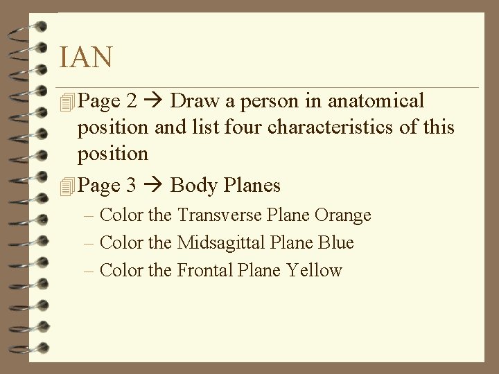 IAN 4 Page 2 Draw a person in anatomical position and list four characteristics