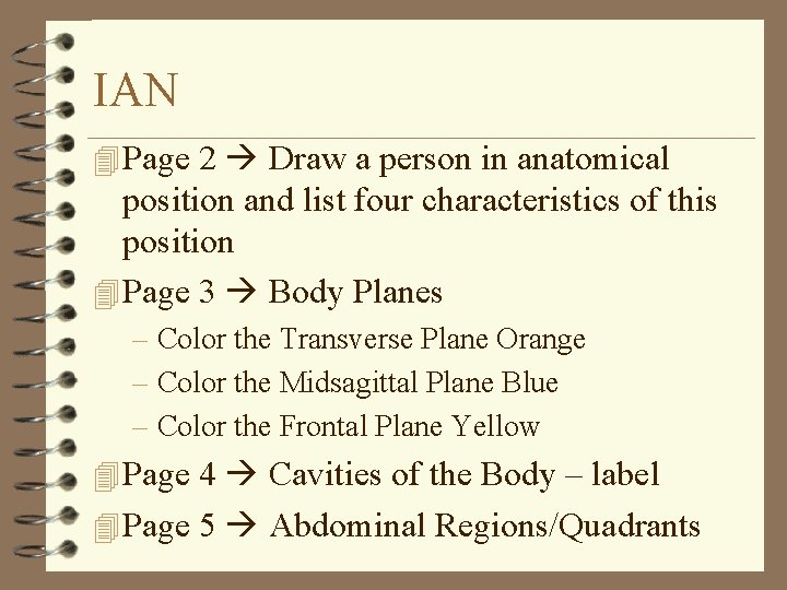 IAN 4 Page 2 Draw a person in anatomical position and list four characteristics