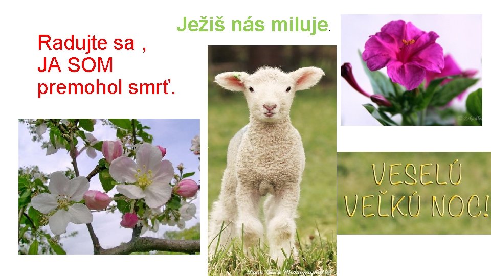 Radujte sa , JA SOM premohol smrť. Ježiš nás miluje. 