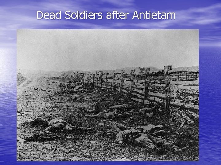 Dead Soldiers after Antietam 