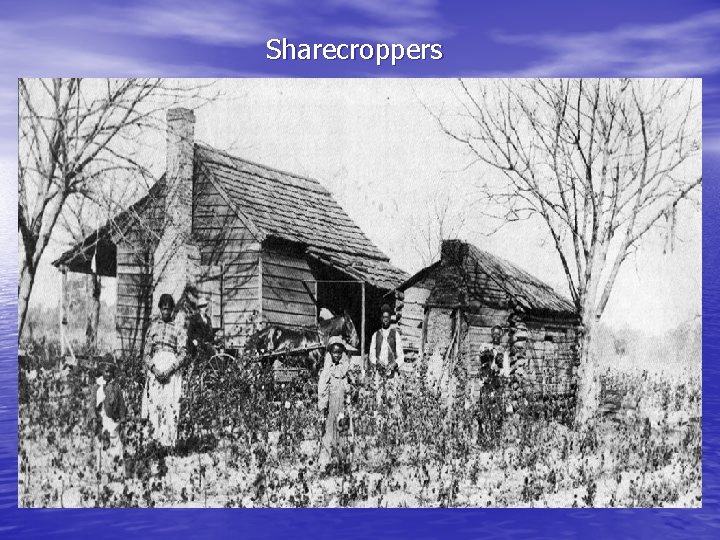 Sharecroppers 