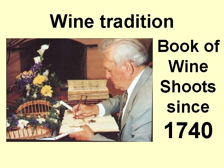 Wine tradition Book of Wine Shoots since 1740 