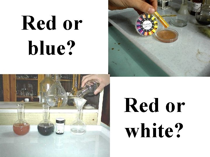 Red or blue? Red or white? 