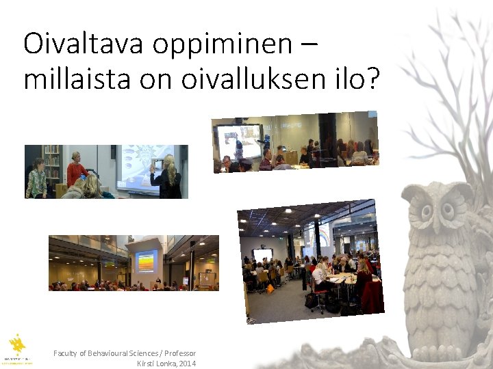 Oivaltava oppiminen – millaista on oivalluksen ilo? Faculty of Behavioural Sciences / Professor Kirsti