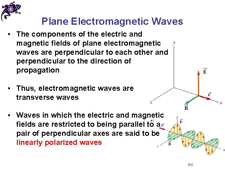 Plane Electromagnetic Waves • The components of the electric and magnetic fields of plane