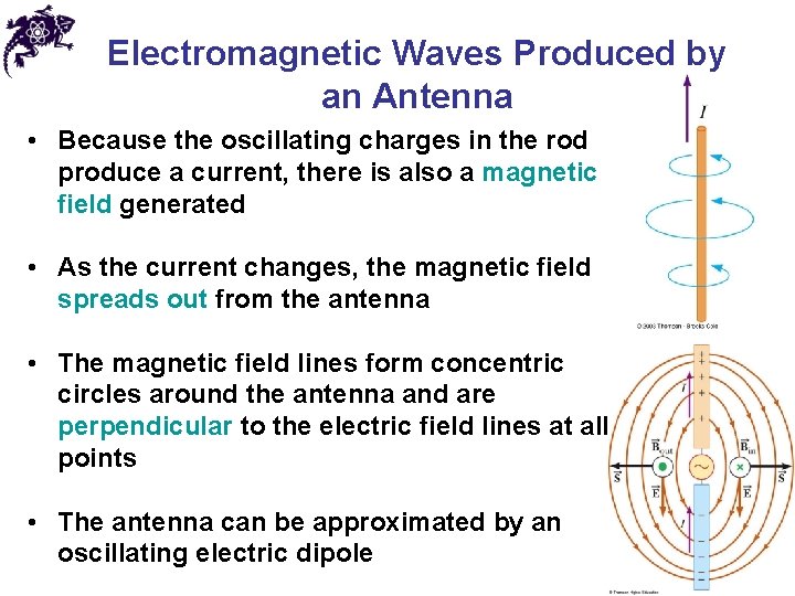 Electromagnetic Waves Produced by an Antenna • Because the oscillating charges in the rod