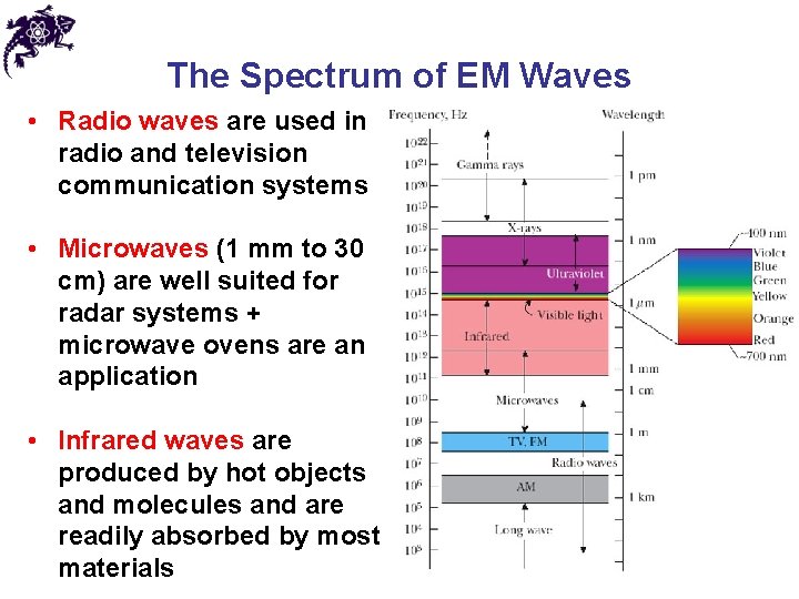 The Spectrum of EM Waves • Radio waves are used in radio and television The Spectrum of EM Waves • Radio waves are used in radio and television