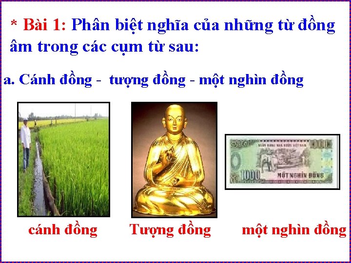 * Bài 1: Phân biệt nghĩa của những từ đồng âm trong các cụm