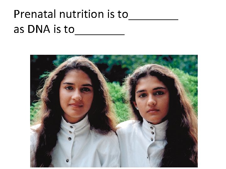 Prenatal nutrition is to____ as DNA is to____ 