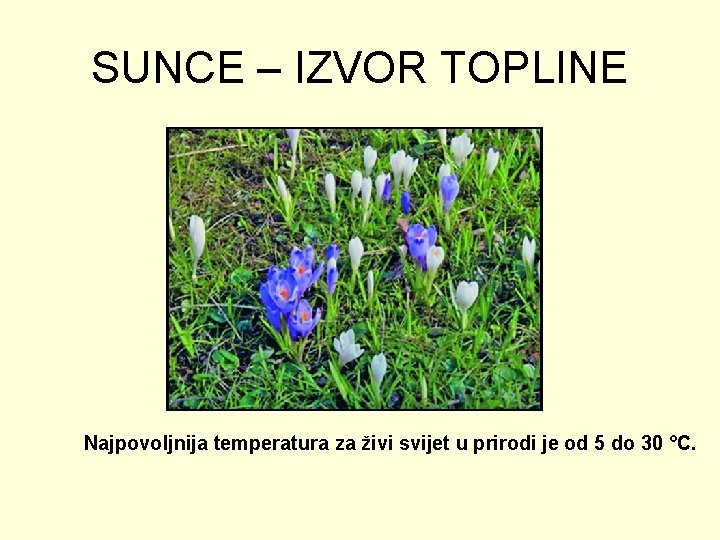 SUNCE – IZVOR TOPLINE Najpovoljnija temperatura za živi svijet u prirodi je od 5