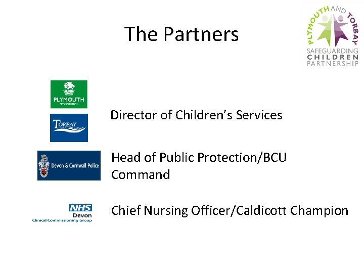 The Partners Director of Children’s Services Head of Public Protection/BCU Command Chief Nursing Officer/Caldicott