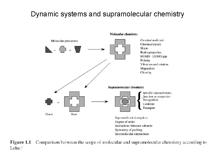 Dynamic systems and supramolecular chemistry 
