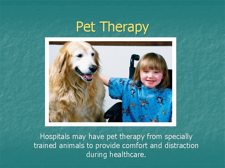 Pet Therapy Hospitals may have pet therapy from specially trained animals to provide comfort Pet Therapy Hospitals may have pet therapy from specially trained animals to provide comfort