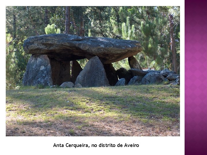 Anta Cerqueira, no distrito de Aveiro 