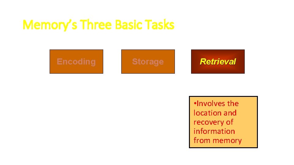 Memory’s Three Basic Tasks Encoding Storage Retrieval • Involves the location and recovery of
