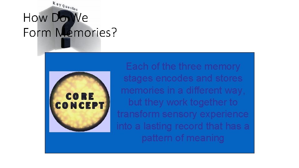 How Do We Form Memories? Each of the three memory stages encodes and stores