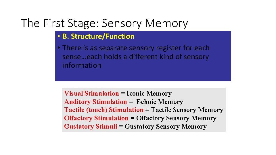 The First Stage: Sensory Memory • B. Structure/Function • There is as separate sensory