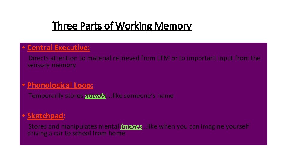 Three Parts of Working Memory • Central Executive: Directs attention to material retrieved from