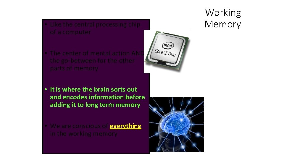  • Like the central processing chip of a computer • The center of