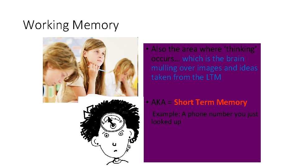 Working Memory • Also the area where ‘thinking’ occurs… which is the brain mulling