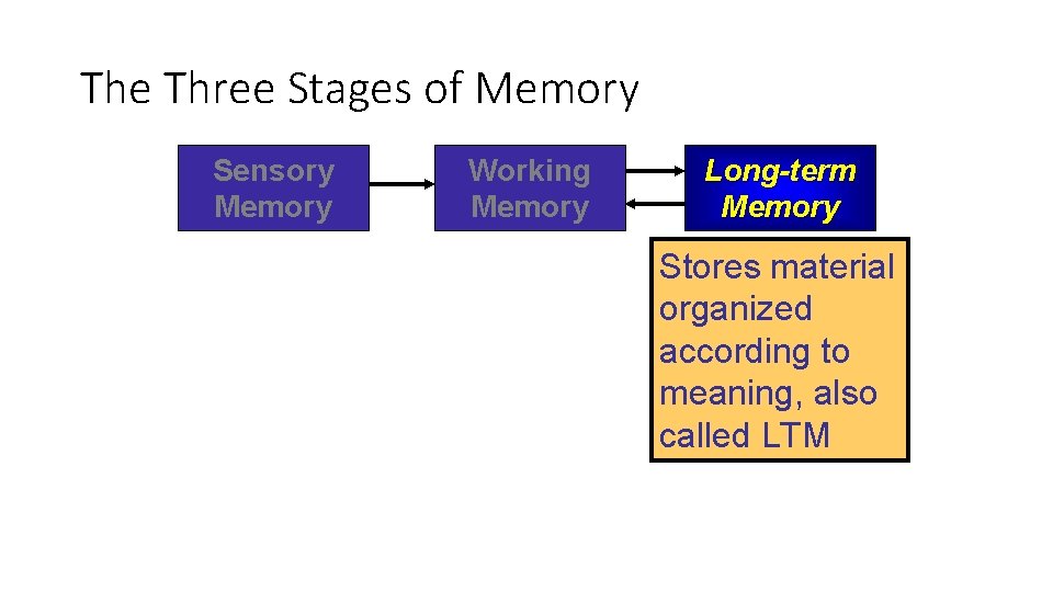 The Three Stages of Memory Sensory Memory Working Memory Long-term Memory Stores material organized