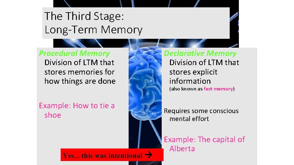 The Third Stage: Long-Term Memory Procedural Memory Division of LTM that stores memories for