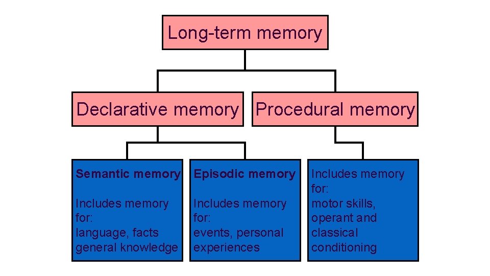 Long-term memory Declarative memory Procedural memory Semantic memory Episodic memory Includes memory for: language,