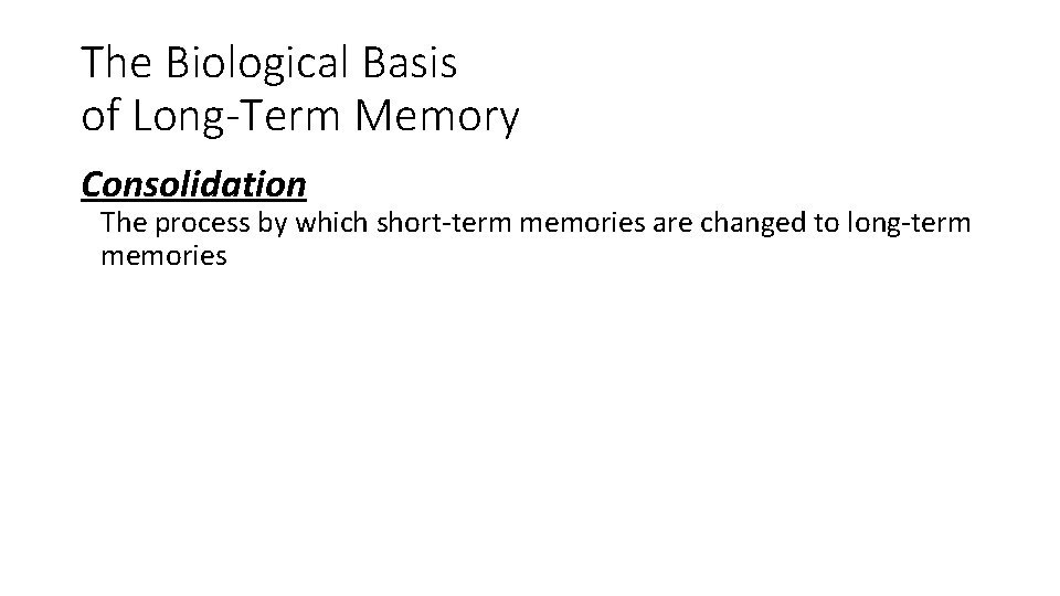 The Biological Basis of Long-Term Memory Consolidation The process by which short-term memories are