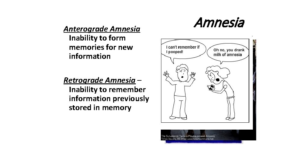 Anterograde Amnesia Inability to form memories for new information Retrograde Amnesia – Inability to