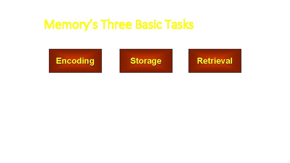 Memory’s Three Basic Tasks Encoding Storage Retrieval 