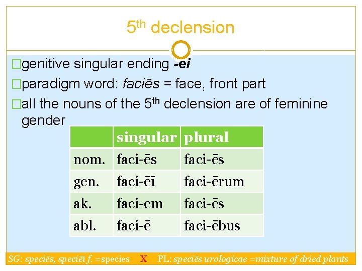 5 th declension �genitive singular ending -ei �paradigm word: faciēs = face, front part