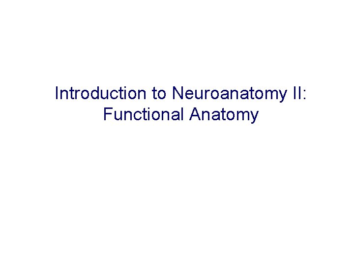 Introduction to Neuroanatomy II: Functional Anatomy 