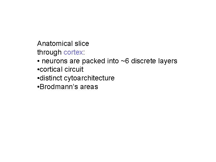 Anatomical slice through cortex: • neurons are packed into ~6 discrete layers • cortical