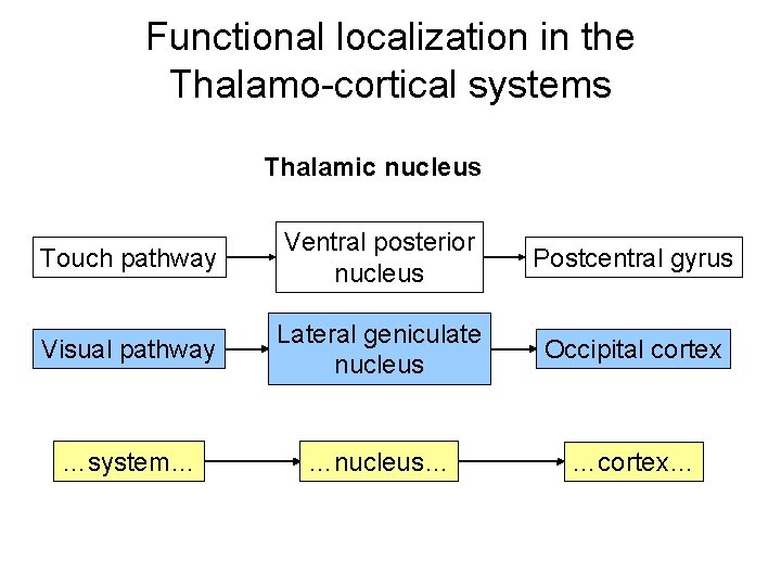 Functional localization in the Thalamo-cortical systems Thalamic nucleus Touch pathway Ventral posterior nucleus Postcentral