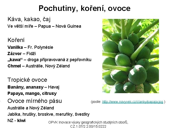 Pochutiny, koření, ovoce Káva, kakao, čaj Ve větší míře – Papua – Nová Guinea