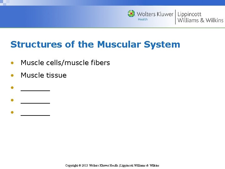 Structures of the Muscular System • Muscle cells/muscle fibers • Muscle tissue • ______