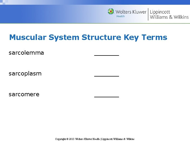 Muscular System Structure Key Terms sarcolemma ______ sarcoplasm ______ sarcomere ______ Copyright © 2013