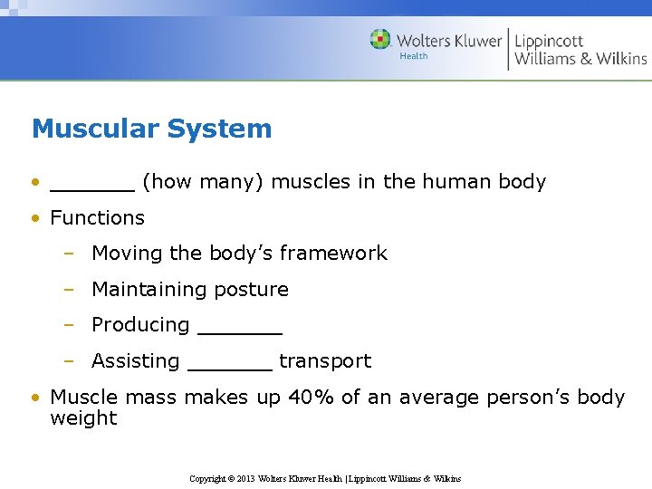 Muscular System • ______ (how many) muscles in the human body • Functions –