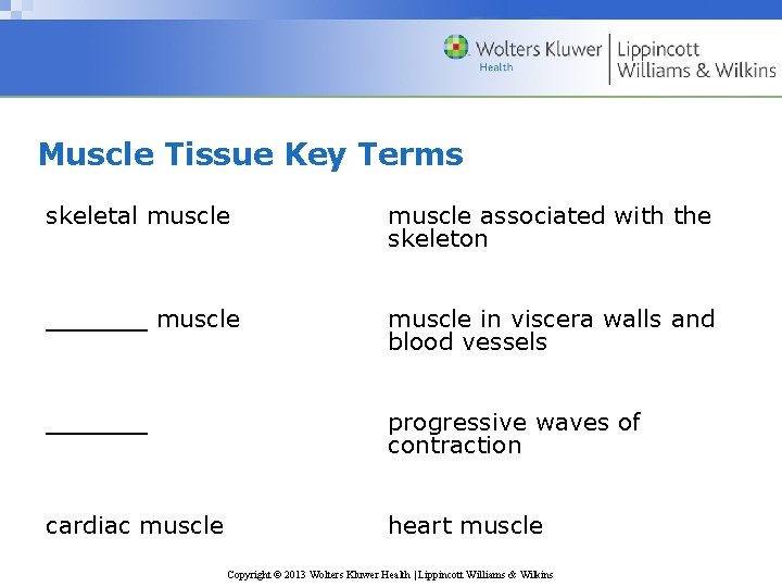 Muscle Tissue Key Terms skeletal muscle associated with the skeleton ______ muscle in viscera