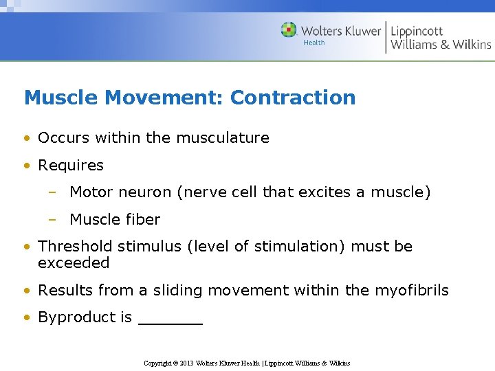 Muscle Movement: Contraction • Occurs within the musculature • Requires – Motor neuron (nerve