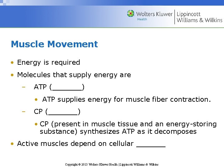 Muscle Movement • Energy is required • Molecules that supply energy are – ATP