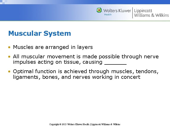 Muscular System • Muscles are arranged in layers • All muscular movement is made